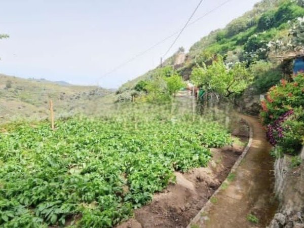 Valsequillo de Gran Canaria,  ES