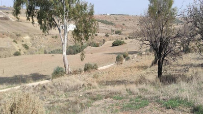 Potami, Nicosia