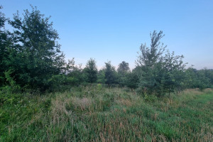 Kłodzko