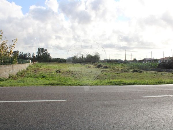 Arazede,  PT