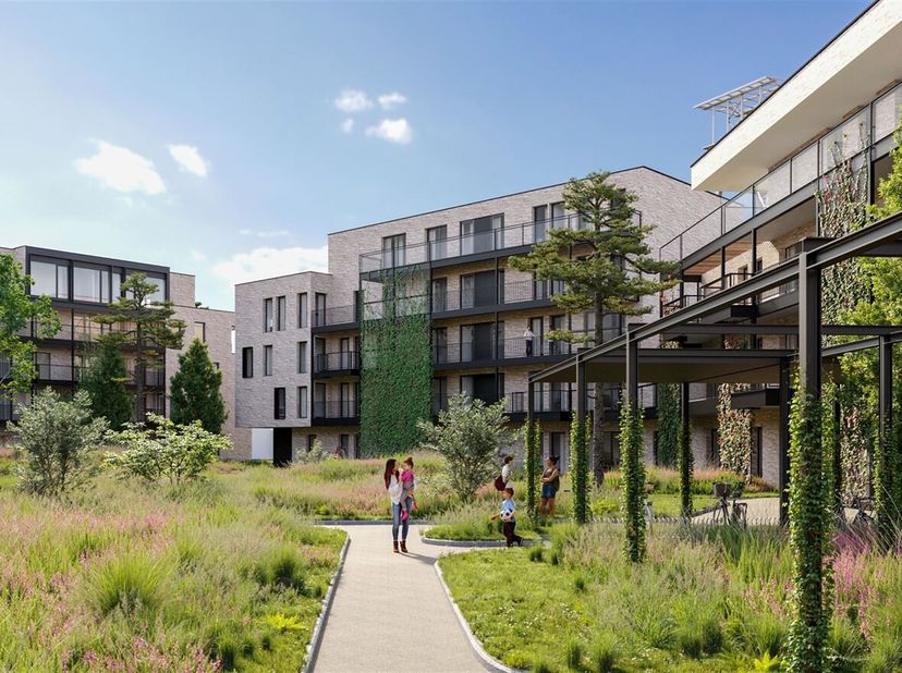 Limburgplein 3530 Houthalen