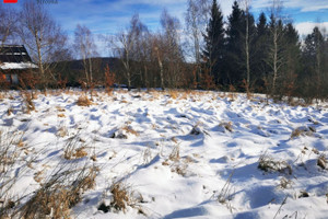 Sułów