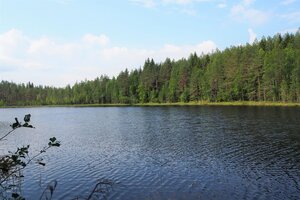 Vääräahontie (Mäntyjyrkkä), Ylä-Partala, Jämsä