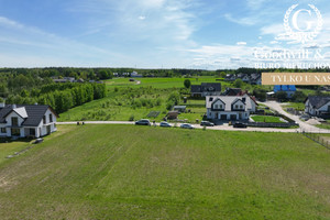 Złota