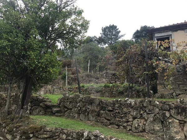 Oliveira,  PT