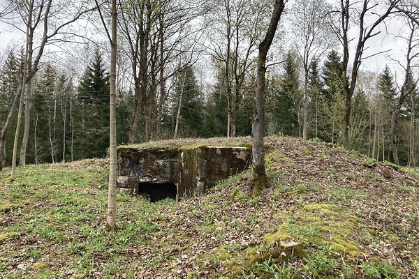 plot for sale, land-profit land - Uuevälja ja Uue-Kase, Kiili, Kiili vald, Harjumaa