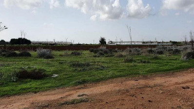 Deryneia, Famagusta