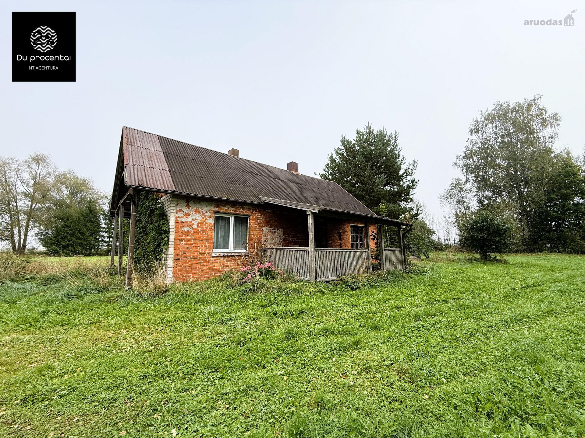 Biržų r. sav., Rinkuškių k. Užtvankos g.