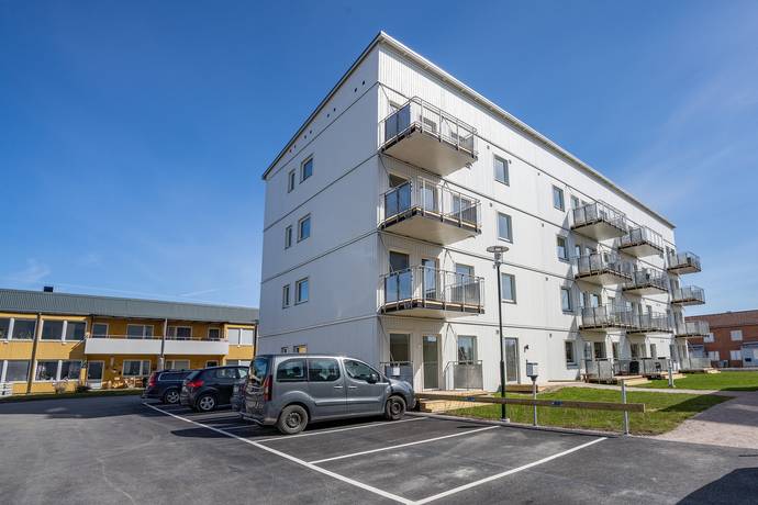 Tierp, Tierps kommun