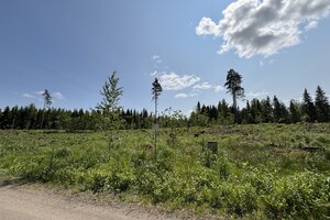 Pitkätaipaleentie tontti 2, Renko, Hämeenlinna