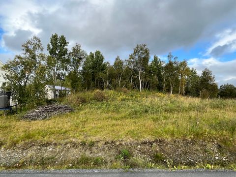 Evenskjer