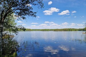 Niementie 85, Uusikylä, Pomarkku