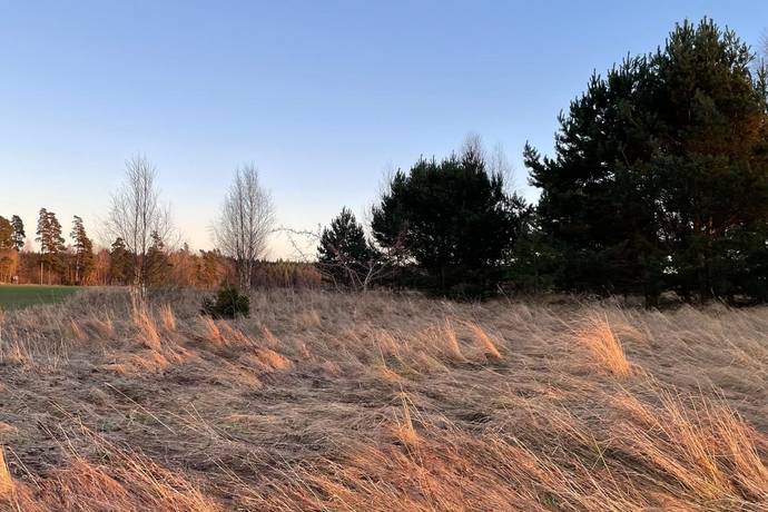 Mjölby, Mjölby kommun
