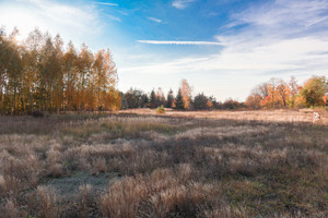 Krosno