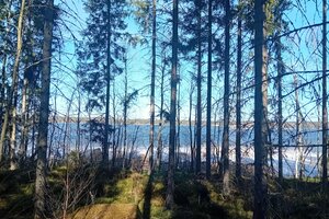 Suurlahdentie 580, Ristiina, Mikkeli