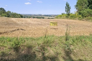 Wiśniowa