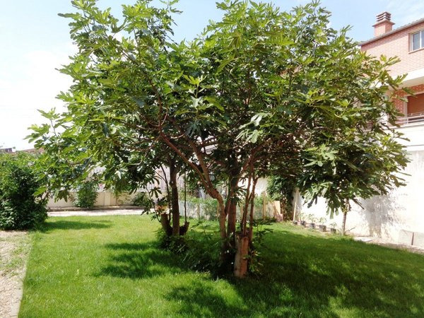 Santovenia de Pisuerga,  ES