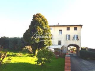 Lucca,  IT