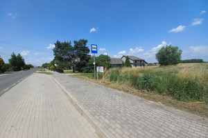 Mielec