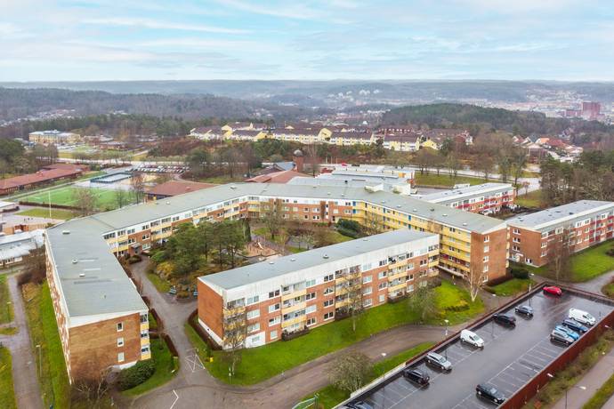 Uddevalla, Uddevalla kommun