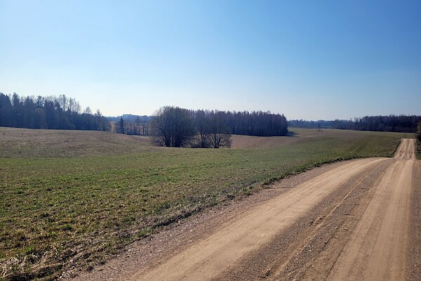 plot for sale, residential land, land-profit land - Keeni, Otepää vald, Valgamaa
