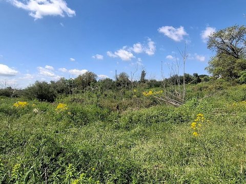 Gravina di Catania,  IT
