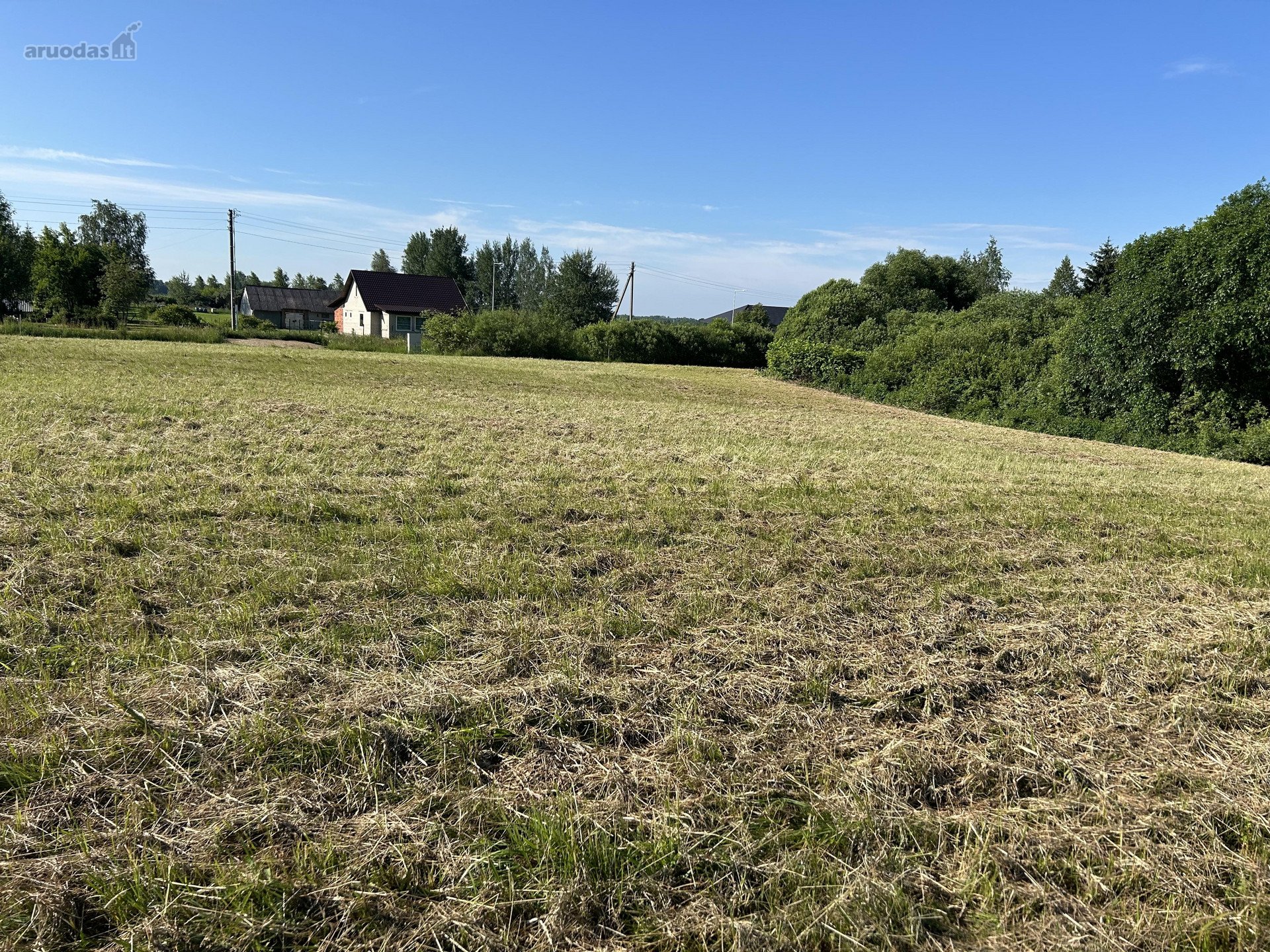 Širvintų r. sav., Družų k. Draugystės g.