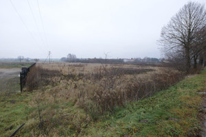 Nowodwór