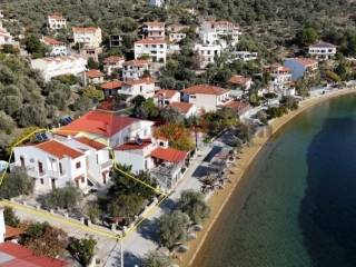Pteleos,  GR