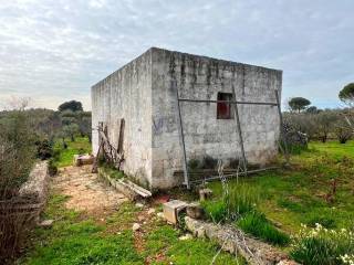 Ceglie Messapica,  IT