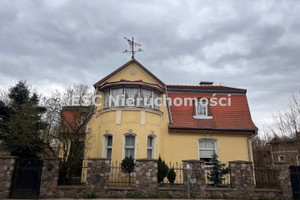 Piła