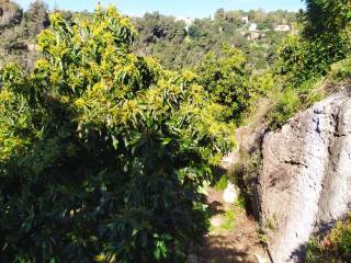 Frigiliana,  ES