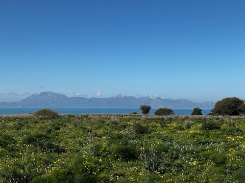 Terrasini,  IT