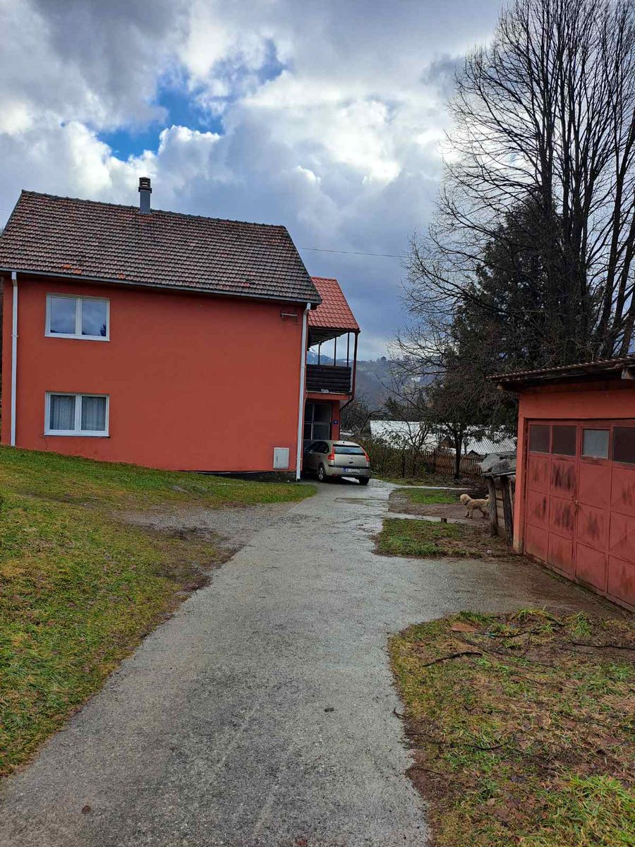 Mojkovac, Center