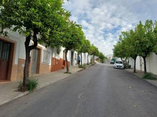 Prado del Rey,  ES