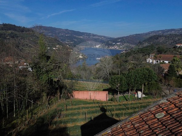 Oliveira,  PT