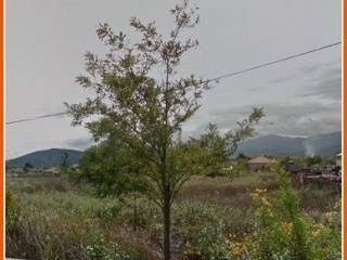 Mitropoli,  GR