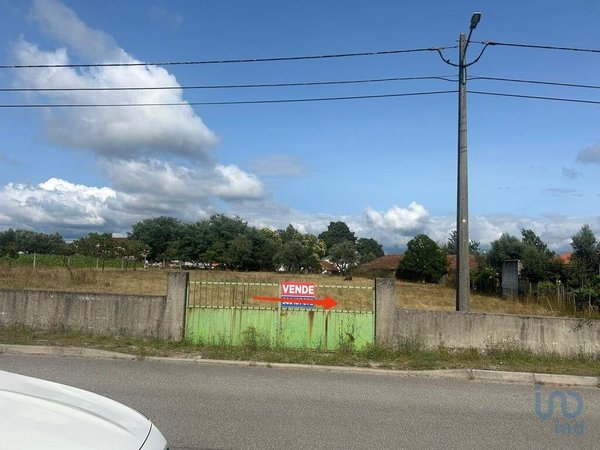 Canas de Senhorim,  PT