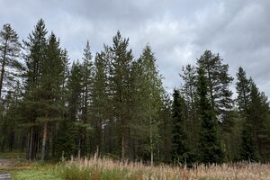 Stanssikuja 14, 99130 Kittilä