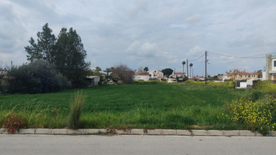 Dali, Nicosia