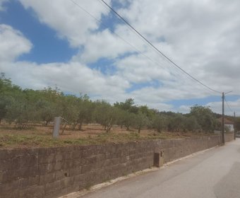 Alfarelos,  PT