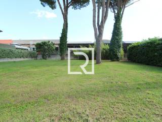 Alfonsine,  IT