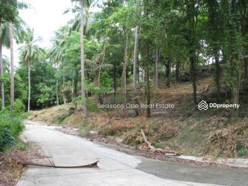 Thaweerat Phakdi, Maret, Ko Samui, Surat Thani