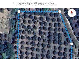 Zacharo,  GR