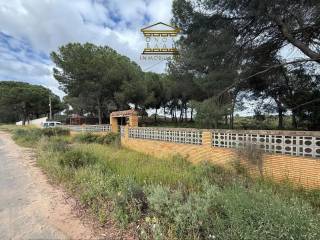 Almonte,  ES