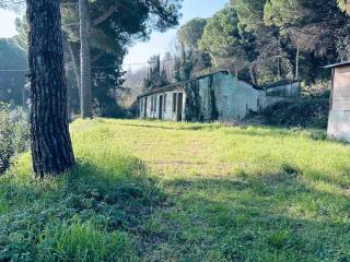 Pesaro,  IT