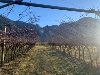 Salorno,  IT