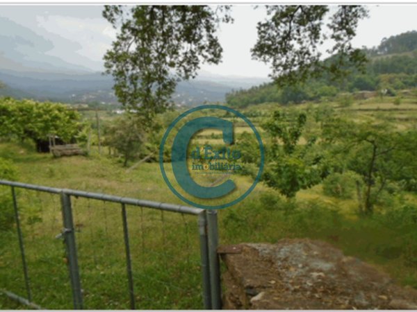 Nespereira,  PT
