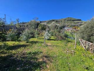 Taggia,  IT