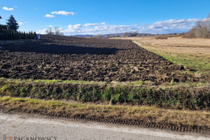 Wilków